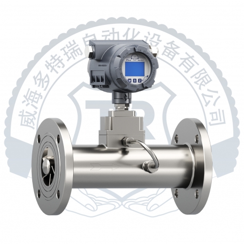 旋進(jìn)旋渦流量計(jì)