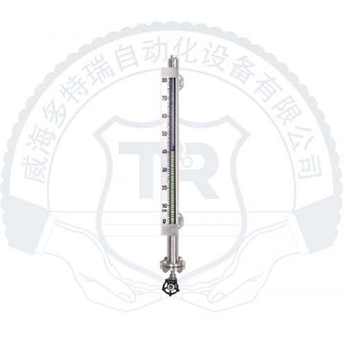 DTRM700F 磁翻板液位計(jì)