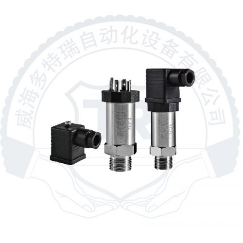 DTR300A精巧型壓力變送器
